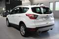 Ford Kuga 1.5 EcoBoost 120 CV S&S 2WD Titanium Bianco - thumbnail 6
