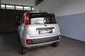 Fiat Panda Grau - thumbnail 4