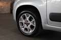 Fiat Panda Grau - thumbnail 14