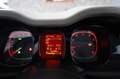 Fiat Panda Grau - thumbnail 10