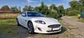 Jaguar XK 5.0 V8 Portfolio Coupé Bowers&Wilkins Kamera Blanco - thumbnail 23