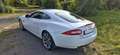 Jaguar XK 5.0 V8 Portfolio Coupé Bowers&Wilkins Kamera Blanco - thumbnail 25