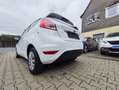 Ford Fiesta 1.25Trend/kein Eco Boost/Klima/gepflegt/1.Hand Blanc - thumbnail 11