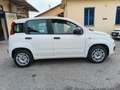 Fiat Panda 1.2 Easy NO VINCOLI Bianco - thumbnail 4
