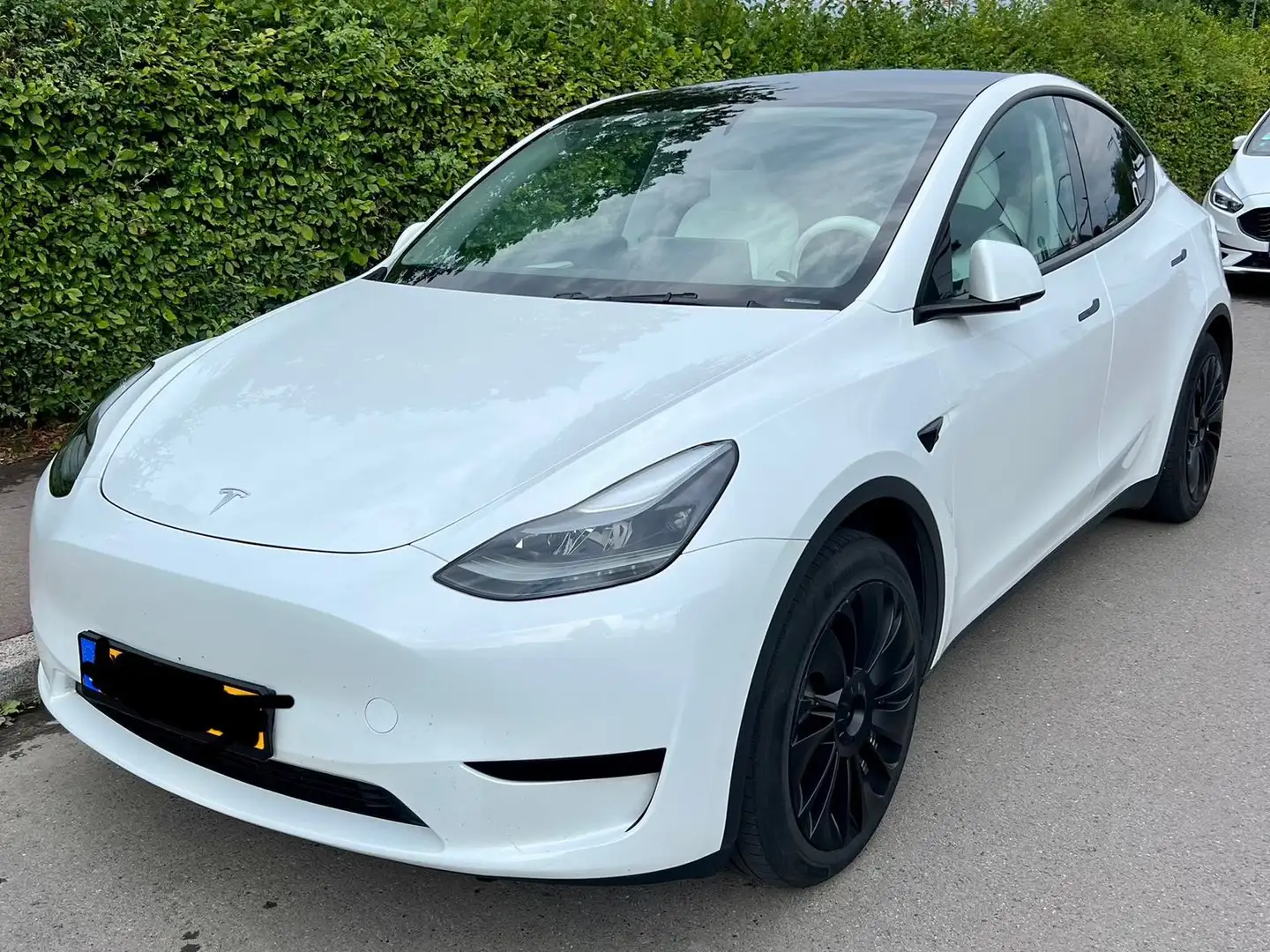 Tesla Model Y Model Y RWD Blanc - 1