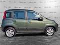 Fiat Panda Panda 0.9 TwinAir Turbo Natural Power Trekking Verde - thumbnail 4