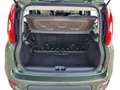 Fiat Panda Panda 0.9 TwinAir Turbo Natural Power Trekking Verde - thumbnail 9