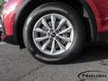 Audi Q5 40 TDI quattro *AHK*STAND.HZG.*ACC*MATRIX* Rood - thumbnail 8