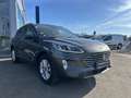 Ford Kuga 2.0 EcoBlue 150ch mHEV Titanium Grau - thumbnail 3