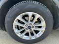 Ford Kuga 2.0 EcoBlue 150ch mHEV Titanium Grau - thumbnail 9