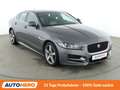 Jaguar XE 20d R-Sport Aut.*NAVI*CAM*XENON*SPUR*PDC*SHZ* Gris - thumbnail 8