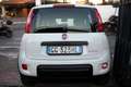 Fiat Panda *PREZZO VERO* HYBRID UNIPRO CITY LIFE KM CERTI - thumbnail 5