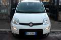 Fiat Panda *PREZZO VERO* HYBRID UNIPRO CITY LIFE KM CERTI - thumbnail 2