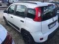 Fiat Panda *PREZZO VERO* HYBRID UNIPRO CITY LIFE KM CERTI - thumbnail 4