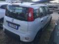 Fiat Panda *PREZZO VERO* HYBRID UNIPRO CITY LIFE KM CERTI - thumbnail 3