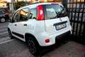 Fiat Panda *PREZZO VERO* HYBRID UNIPRO CITY LIFE KM CERTI - thumbnail 4
