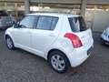 Suzuki Swift Swift 5p 1.3 16v GL+ 4X4 (IDONEA X NEO PATENTATI) Blanco - thumbnail 5
