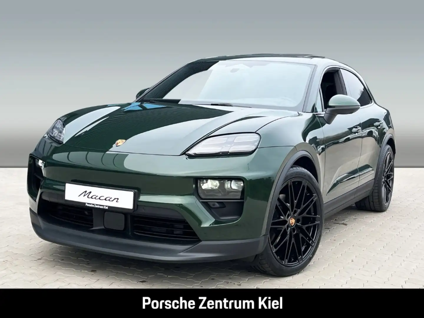 Porsche Macan BOSE Panoramadach Surround-View LED-Matrix Grün - 1