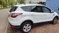 Ford Kuga 1.5 EcoBoost 2x4 Cool & Connect - thumbnail 3