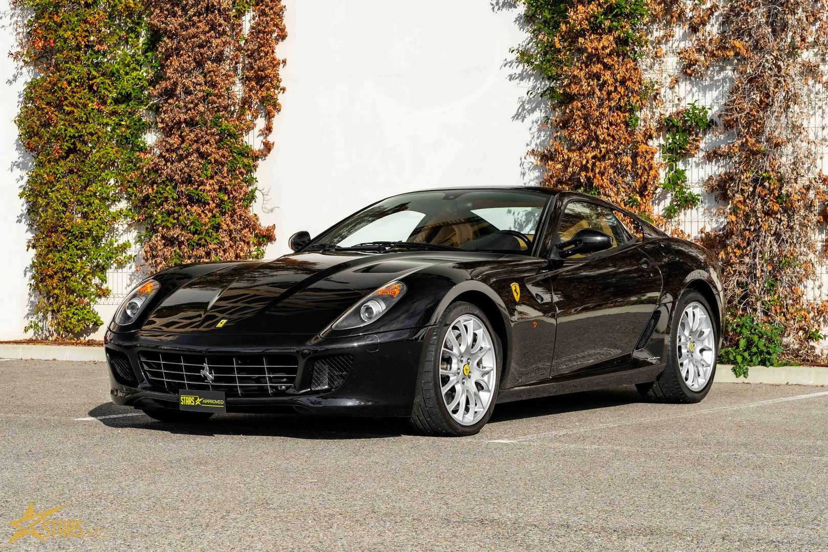 Ferrari 599 GTB -  - Joinsteer - #2