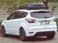 Ford Kuga Kuga 1,5 TDCi ST-Line ST-Line Weiß - thumbnail 8