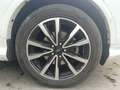 Ford Kuga Kuga 1,5 TDCi ST-Line ST-Line Weiß - thumbnail 11