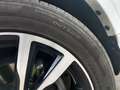 Ford Kuga Kuga 1,5 TDCi ST-Line ST-Line Weiß - thumbnail 12