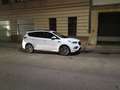 Ford Kuga Kuga 1,5 TDCi ST-Line ST-Line Weiß - thumbnail 9