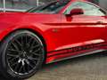 Ford Mustang 5.0 V8 GT Rot - thumbnail 7