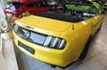 Ford Mustang Ford Mustang Convertible GT 5.0 Ti-VCT V8 Gelb - thumbnail 3