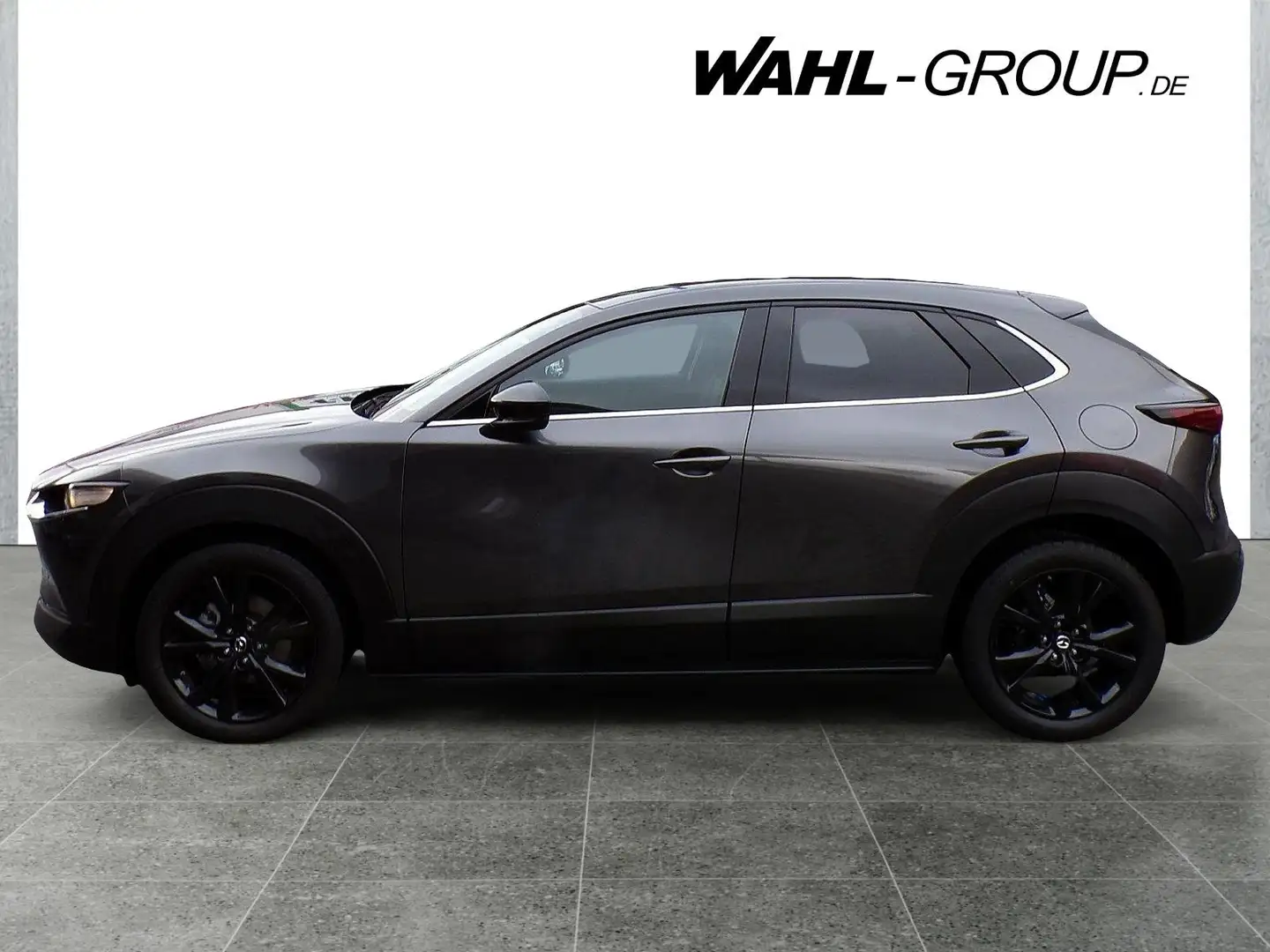 Mazda CX-30 2.5 SkyactiveG 140 Automatik Homura*LED*RFK*Navi*P Grau - 2