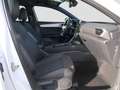 SEAT Leon Sportstourer FR Plus 1.5 eTSI ACT 7-Gang DSG Weiß - thumbnail 8