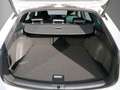 SEAT Leon Sportstourer FR Plus 1.5 eTSI ACT 7-Gang DSG Weiß - thumbnail 6