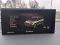 Audi Q7 Q7 3.0 tdi S-line Edition quattro tiptronic Grigio - thumbnail 12