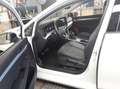 Volkswagen Golf VIII 1.5TSI Goal LED Navi AHK APP Sitzh DWA Weiß - thumbnail 6