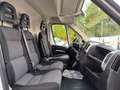 Fiat Ducato Fg. 35 2.3Mjt L2 H2 140CV Blanc - thumbnail 10