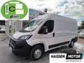 Fiat Ducato Fg. 35 2.3Mjt L2 H2 140CV Blanc - thumbnail 1