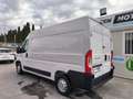 Fiat Ducato Fg. 35 2.3Mjt L2 H2 140CV Blanc - thumbnail 3