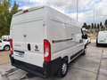 Fiat Ducato Fg. 35 2.3Mjt L2 H2 140CV Blanc - thumbnail 4