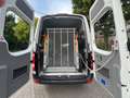 Volkswagen Crafter 2.0 Tdi Maxi L3 9 Sitze Klima+Lift Euro6 Weiß - thumbnail 17
