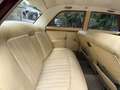 Rover Sonstige P5 3.0 Automatik H-Zulassung Linkslenker Rot - thumbnail 19