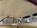 Rover Sonstige P5 3.0 Automatik H-Zulassung Linkslenker Rot - thumbnail 16