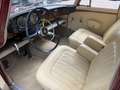 Rover Sonstige P5 3.0 Automatik H-Zulassung Linkslenker Rot - thumbnail 11