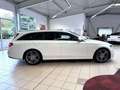 Mercedes-Benz E 300 300d AMG Line/Navi/S-Dach/Spur/DAB/Ahk Blanc - thumbnail 13