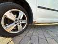 Volkswagen Caddy Caddy 2.0 SDI Weiß - thumbnail 28