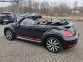 Volkswagen New Beetle Beetle Cabriolet Club BMT/Voll Leder/Bi-Xenon/Na Schwarz - thumbnail 8