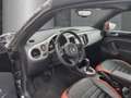 Volkswagen New Beetle Beetle Cabriolet Club BMT/Voll Leder/Bi-Xenon/Na Schwarz - thumbnail 11