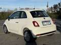 Fiat 500 1.0 hybrid Cult 70cv Vettura 1 Proprietario Bianco - thumbnail 11