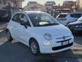 Fiat 500 1.0 hybrid Cult 70cv Vettura 1 Proprietario Bianco - thumbnail 6