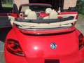 Volkswagen Beetle Cabrio Rosso - thumbnail 5